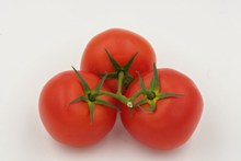三颗西红柿精美图片