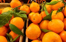 水果摊鲜橘子图片素材