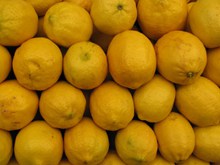 黄柠檬摄影高清图