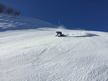 单人单板滑雪图片下载