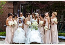 新娘伴娘集体婚纱照图片素材