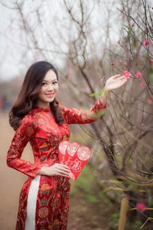古典越南美女精美图片