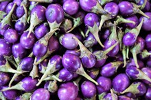 紫色茄子摄影图片大全