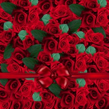 浪漫红玫瑰背景精美图片