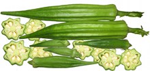 黄秋葵有机蔬菜高清图