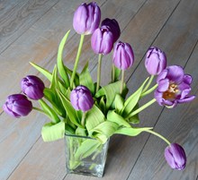 紫色郁金香插花高清图片