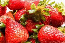 健康草莓水果图片素材