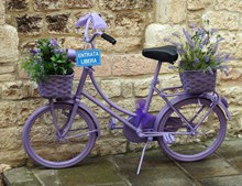 紫色自行车薰衣草高清图