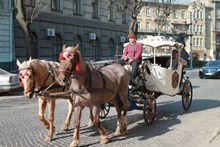 乌克兰传统马车图片大全