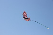 自由飞行的风筝图片下载