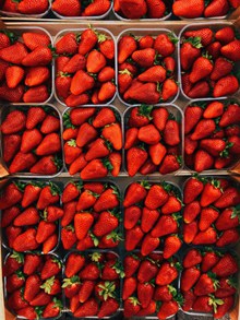 鲜红诱人草莓图片下载