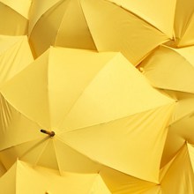 天堂雨伞黄色图片下载