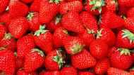 红红草莓图片素材