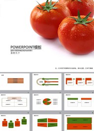 蕃茄栽培技术ppt模板