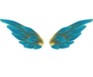 天使的翅膀PSD素材