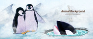 看着海豚的企鹅PSD素材