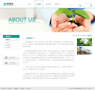 大气企业网站首页PSD图片