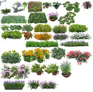 花卉盆景集合PSD图片