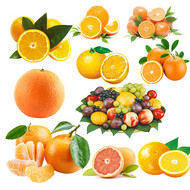 美味橙子PSD图片
