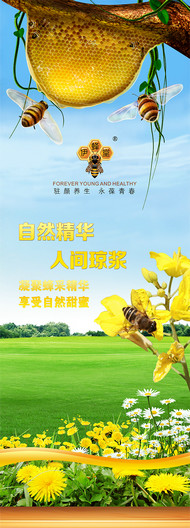 天然蜂蜜海报PSD图片