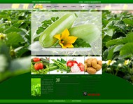 蔬菜种植企业网页PSD图片