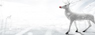淘宝圣诞麋鹿PSD图片