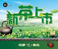 新茶上市海报PSD图片