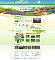农业网站模板PSD图片