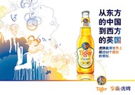 tiger啤酒海报PSD图片