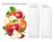 苹果与果汁包装矢量图