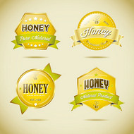 蜂蜜包装标签矢量图