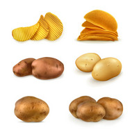 土豆与薯片矢量图