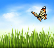 蝴蝶与草丛背景矢量图