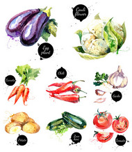 水彩蔬菜矢量图
