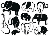 大象动物插画矢量图片