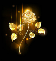 黄金玫瑰花矢量图片
