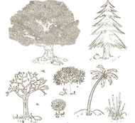 手绘树木设计矢量图片