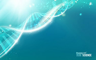 炫彩DNA结构图矢量图片