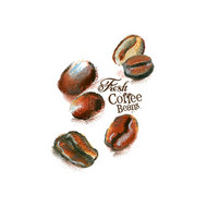 彩绘咖啡豆矢量图片