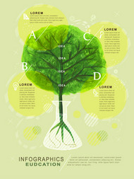 树木教育信息图矢量图片