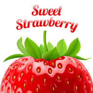 美味新鲜草莓矢量图片