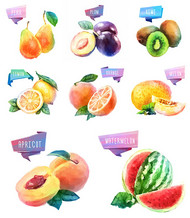 水彩水果设计矢量图片
