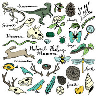 自然野生动植物矢量图片