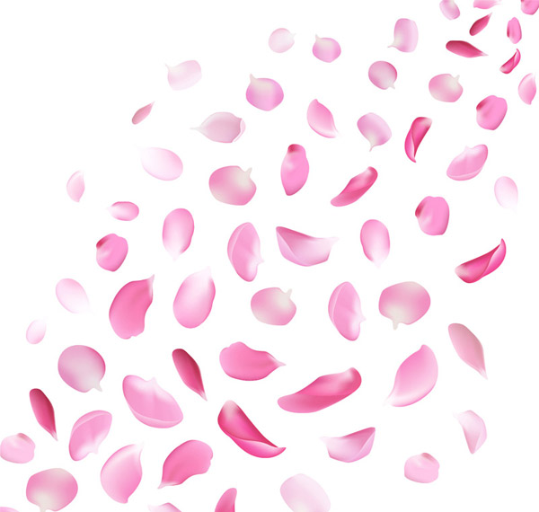 粉色花瓣矢量图片