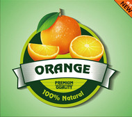 橙子标签矢量图片