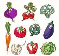 彩绘蔬菜矢量图片