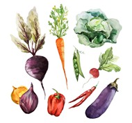 水彩蔬菜矢量图片