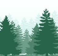 绿色森林剪影矢量图片