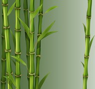 绿色竹子矢量图片