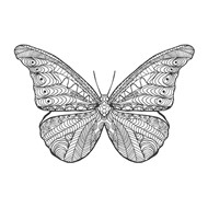 蝴蝶纹身图案矢量图片